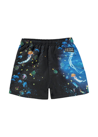 Шорти Molo (304303206)