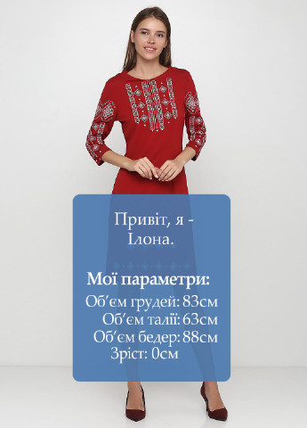 Вышиванка ЕтноМодерн платье (150530276)