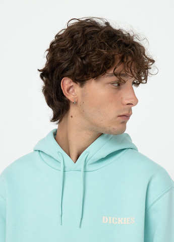 Худі Dickies (329047532)