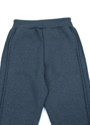 Спортивні штани жіночі сірі на флісі X-trap (251852003)