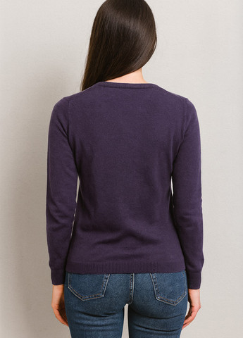 Синій демісезонний пуловер пуловер Sassofono