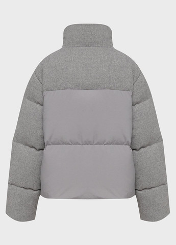 Сірий зимній Пуховик PRPY