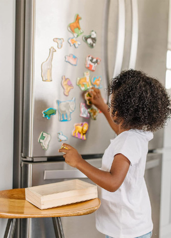 Игровой магнитный набор Животные, 6,4х14х20,1 см Melissa & Doug (251711132)