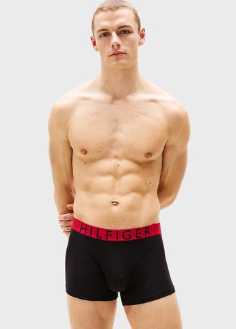 Труси (3 шт.) Tommy Hilfiger (347589999)