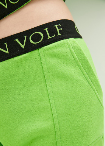 Спортивные брюки Салатового цвета German Volf (218497286)