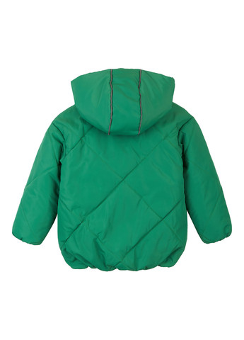 Зеленая зимняя куртка Garnamama