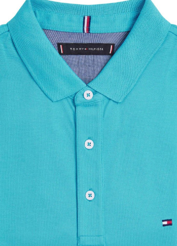 Голубой футболка-поло для мужчин Tommy Hilfiger с логотипом