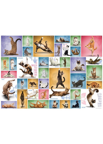 Пазл Йога. Кішки 1000 елементів (6000-0953) Eurographics (249984567)