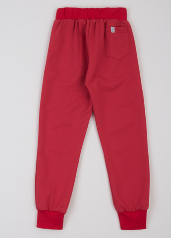 Штани ArDoMi (316877967)