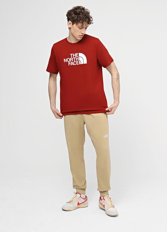 Бежевые спортивные демисезонные джоггеры брюки The North Face