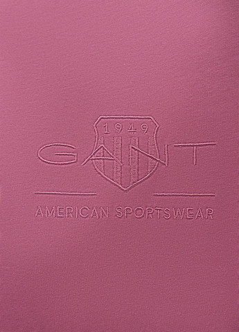 Футболка Gant - (322523574)