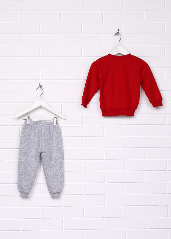 Красный демисезонный комплект (свитшот, брюки) Enes baby