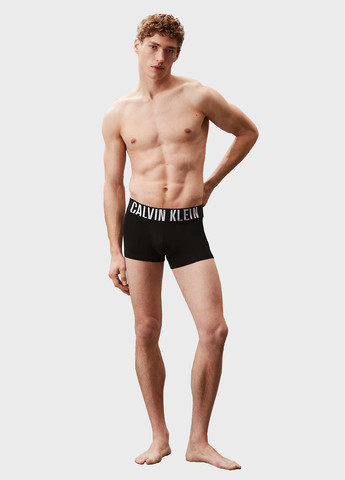 Труси (3 шт.) Calvin Klein (366292775)