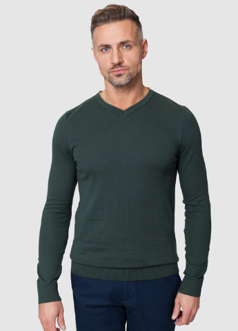 Темно-зелений демісезонний пуловер пуловер Arber