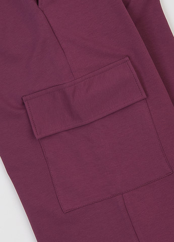 Сиреневые кэжуал демисезонные палаццо, карго брюки Garnamama