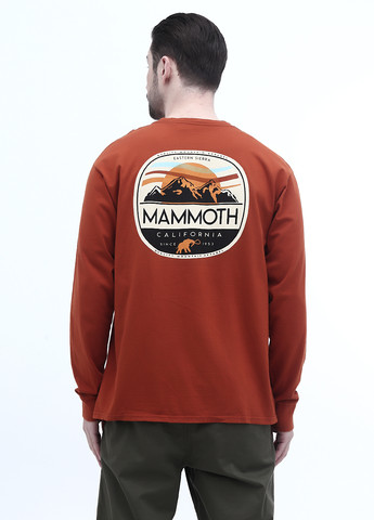 Терракотовый демисезонный кэжуал лонгслив Blue 84 с рисунком