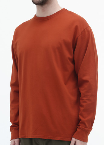 Терракотовый демисезонный кэжуал лонгслив Blue 84 с рисунком