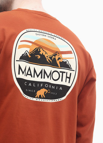 Терракотовый демисезонный кэжуал лонгслив Blue 84 с рисунком