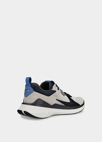 Синие демисезонные кросовки Ecco