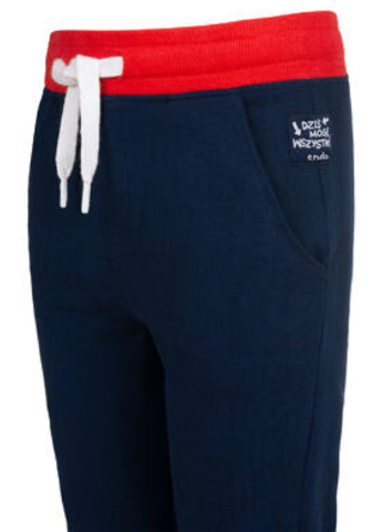 Спортивні штани для хлопчиків Endo (251317396)