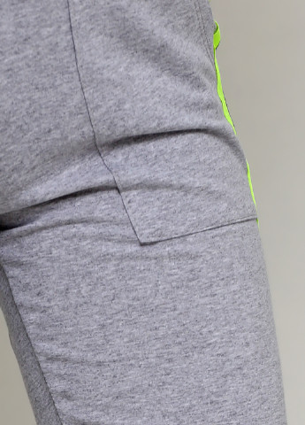 Серые спортивные демисезонные брюки Iigui