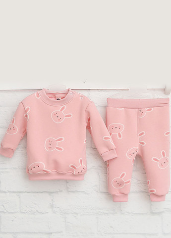 Розовый демисезонный костюм (свитшот, брюки) брючный Blanka