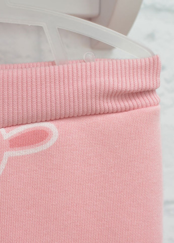 Розовый демисезонный костюм (свитшот, брюки) брючный Blanka