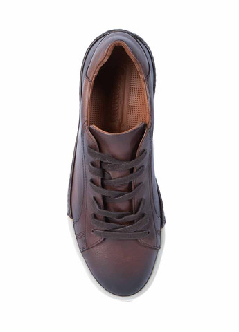 Темно-коричневые кеды Cosottinni