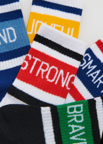 Комбинированные носки (5 пар) Reserved надписи демисезон (317322897)