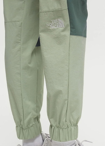 Штани The North Face NF0A852YKIH1 (327368660)