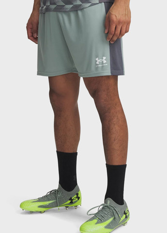 Шорти Under Armour (332364839)