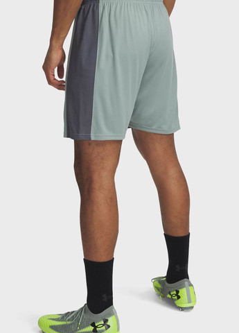 Шорти Under Armour (332364839)