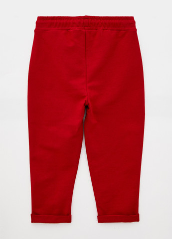 Красные спортивные демисезонные брюки джоггеры Роза