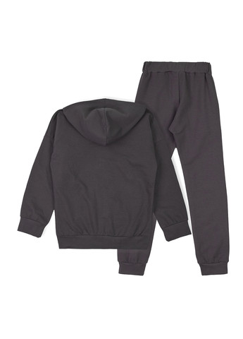 Костюм (толстовка, штани) Garnamama (303403242)