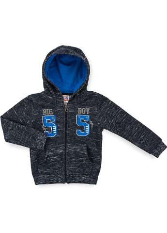 Серый демисезонный спортивный костюм "55" (9672-92b-blue) Breeze