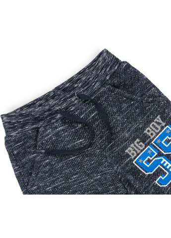 Серый демисезонный спортивный костюм "55" (9672-92b-blue) Breeze