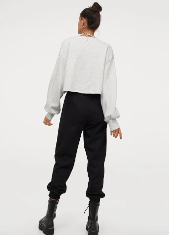 Штани H&M (220743204)