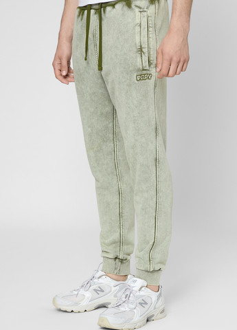 Зеленые спортивные демисезонные джоггеры брюки PRPY