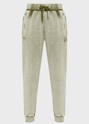 Зеленые спортивные демисезонные джоггеры брюки PRPY