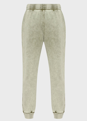 Зеленые спортивные демисезонные джоггеры брюки PRPY