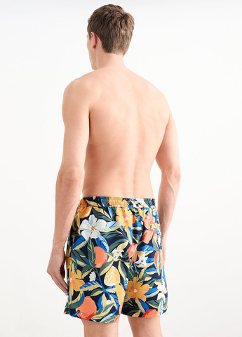 Шорты C&A (322897072)