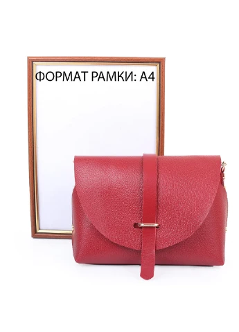 Жіноча шкіряна сумка 22х16х11 см Gala Gurianoff (195547144)