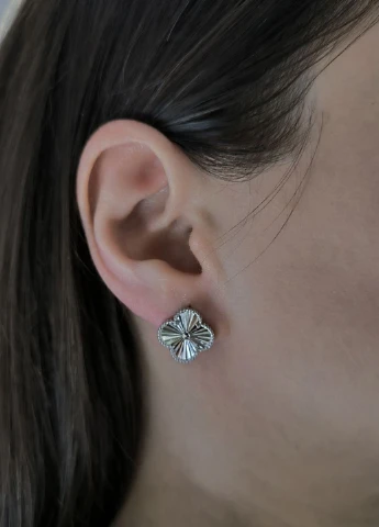 Сережки Silver Flame (329999871)