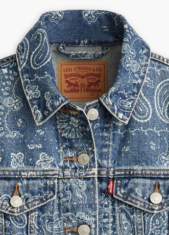 Синя демісезонна куртка Levi's