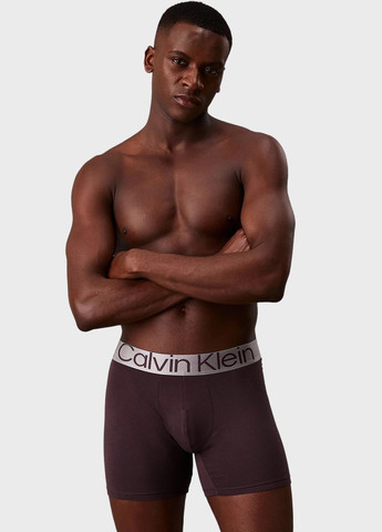 Труси (3 шт.) Calvin Klein (343745322)