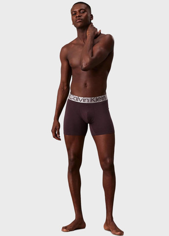 Труси (3 шт.) Calvin Klein (343745322)