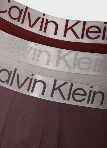 Труси (3 шт.) Calvin Klein (343745322)