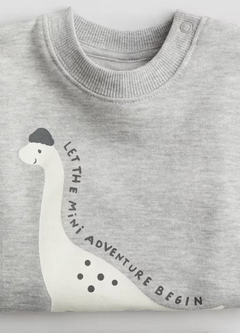 Світло-сірий світшот H&M динозавр без декору (341677545)