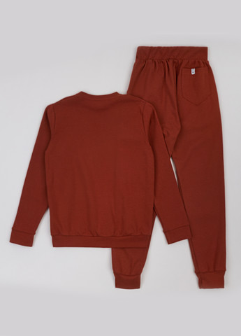 Спортивный костюм (свитшот, брюки) ArDoMi (322563690)