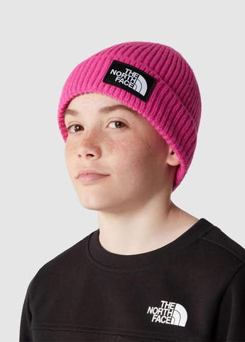 Шапка The North Face NF0A7WGCWUG1 (327373663)